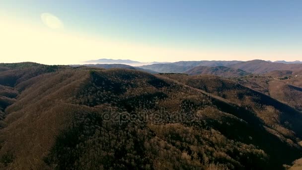 Tiro aéreo, madeira de outono nas montanhas com folhas secas alaranjadas, sol alto no céu
 - Filmagem, Vídeo