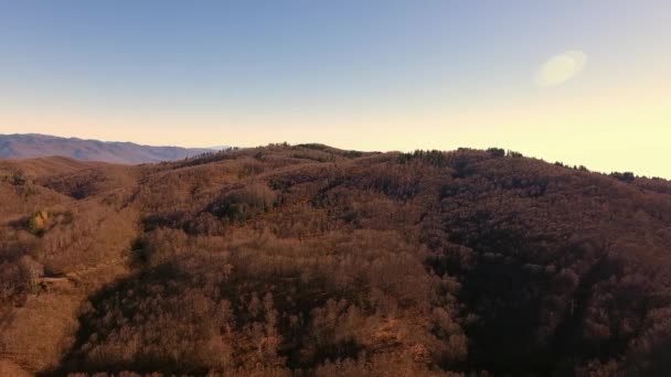 Luchtfoto schot, herfst hout in de bergen met oranje droge bladeren, zon hoog in de hemel - Video