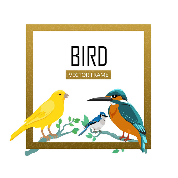 Birds Frame Flat Design Vector Illustration - Vetor, Imagem