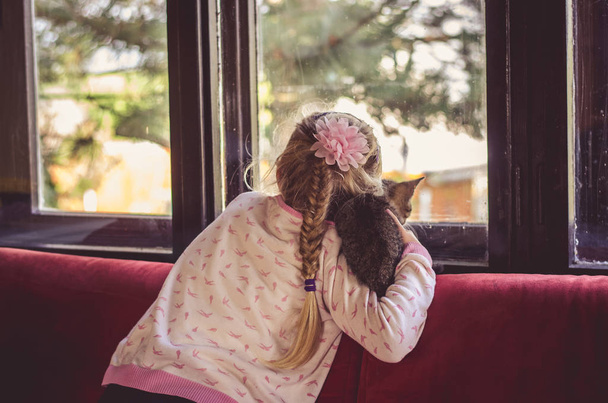 child and cat - Foto, Imagem