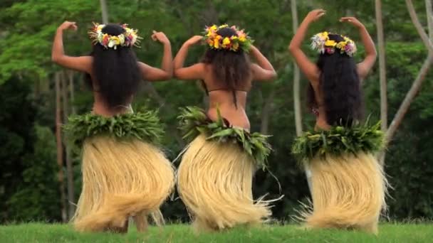 Polynesische Mädchen tanzen Hula - Filmmaterial, Video