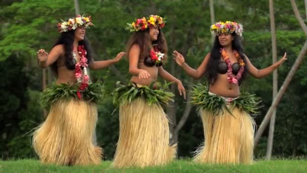 Polinezya kızlar hula dansı - Video, Çekim