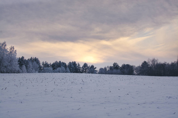 winter landscape. Cloudy day. Winter decline.  - Foto, Imagen