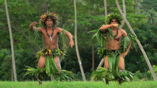 uomini che ballano hula
 - Filmati, video