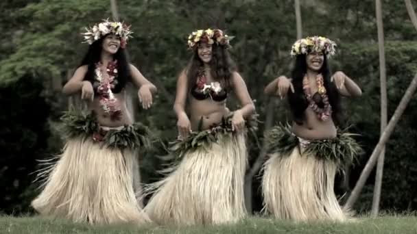 Polynesische Mädchen tanzen Hula - Filmmaterial, Video