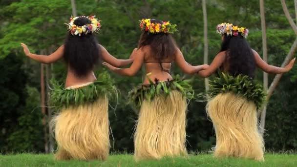 Bailarines polinesios entretenidos en trajes
 - Metraje, vídeo