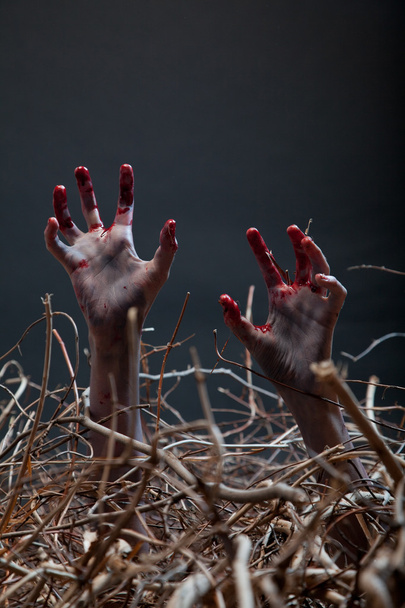 zombie natahovat ruce hrůzu z hrobu - Fotografie, Obrázek