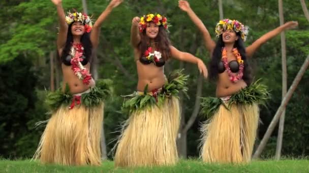 Polynesische Tänzer unterhalten in Kostümen - Filmmaterial, Video