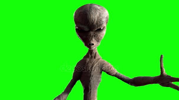 grey alien 3D animation on green background - Footage, Video