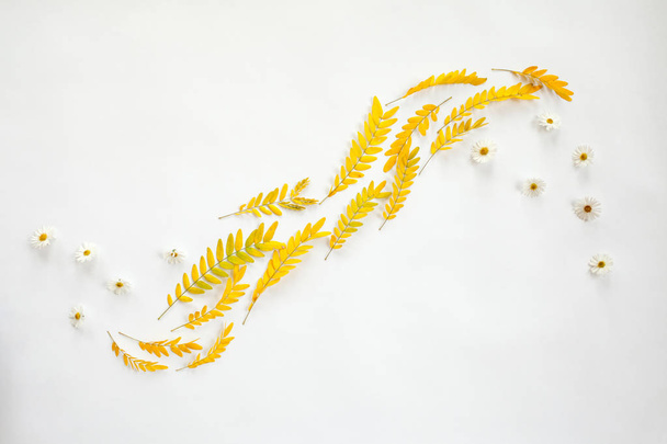 disposición de onda creativa de hojas amarillas de otoño en blanco
 - Foto, imagen