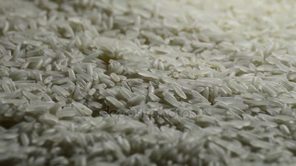 Rice basmati unprocessed turning - Footage, Video