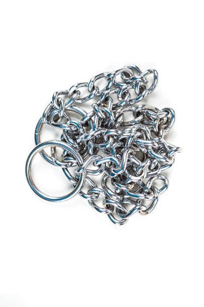 Gümüş metal boğma zincir köpek için - Fotoğraf, Görsel