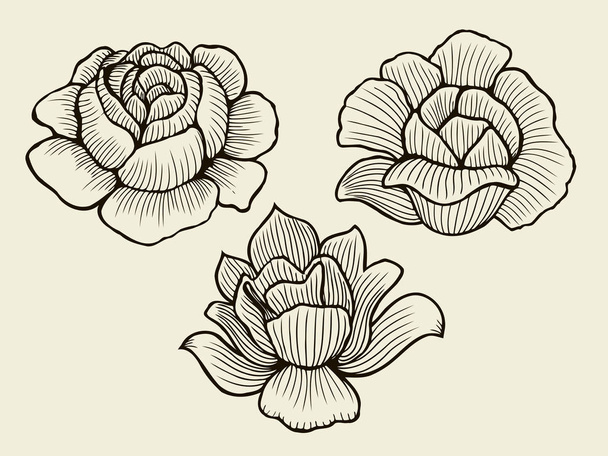 Hand drawn sketch flowers - Vettoriali, immagini
