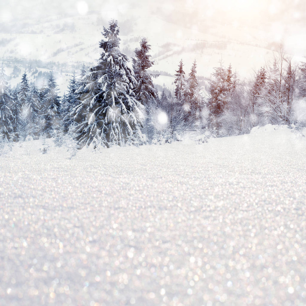 Χειμερινό τοπίο με χιονισμένα δέντρα και νιφάδες χιονιού - Φωτογραφία, εικόνα