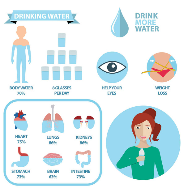Körperwasser-Infografik - Vektor, Bild