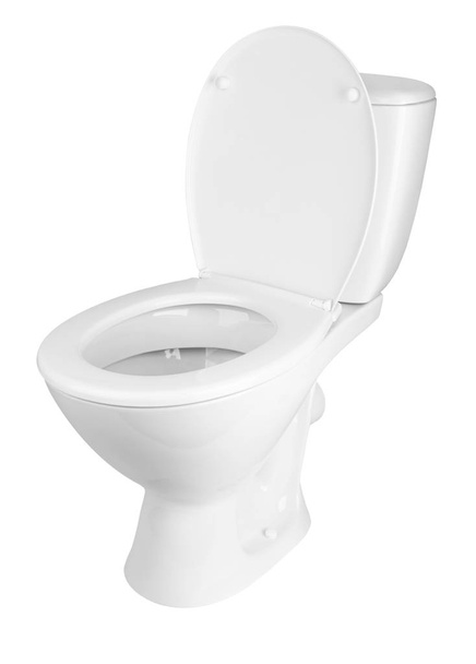 toilet bowl isolated - Fotó, kép