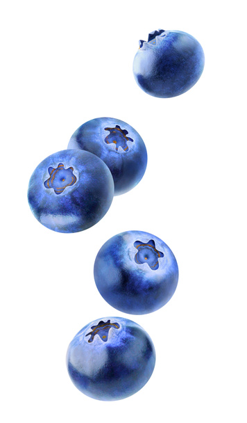 Isolated blueberries flying in the air - Photo, Image