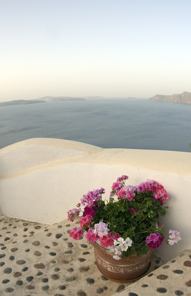 flowers on staircase with stone inlay santorini - Photo, Image