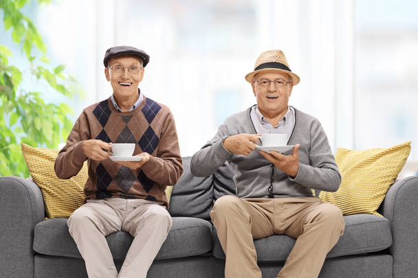 Two joyful elderly men with cups - Фото, зображення