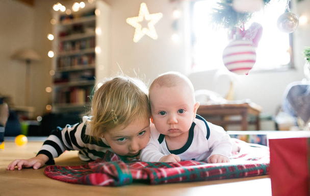Little boy and girl lying under Christmas tree on checked blanke - Photo, image