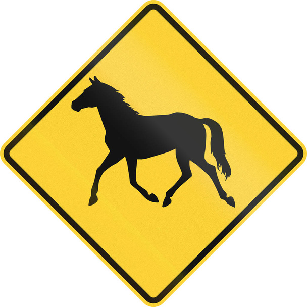 United States MUTCD road sign - warning of large wild animals nearby (wild horses) - Foto, imagen