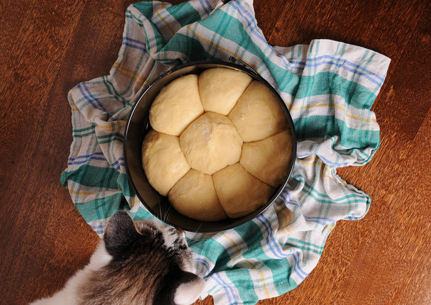 Pie in a round dish on a plaid towel on wooden table. Curious cat looks into dish - Photo, Image