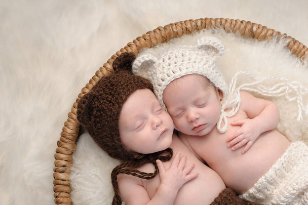 Hermana y hermano gemelo fraternal en sombreros de oso
 - Foto, imagen