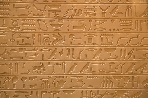 Egyptian hieroglyphs on the wall - 写真・画像
