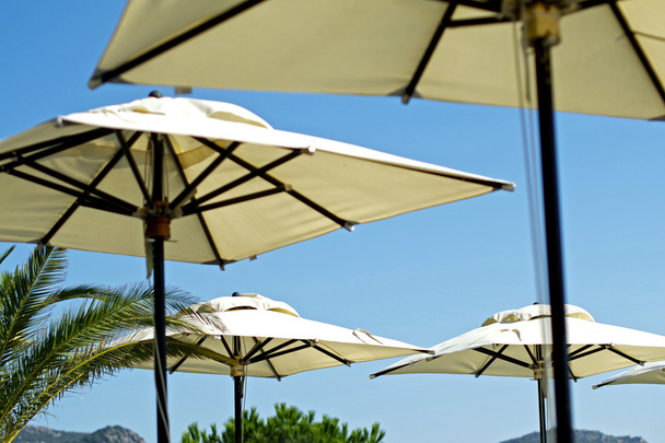witte paraplu strand - Foto, afbeelding