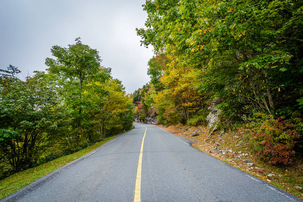 Early autumn color along the road to Grandfather Mountain, North - Фото, изображение