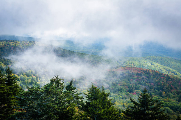 Foggy view of the Blue Ridge Mountains from Grandfather Mountain - Photo, Image