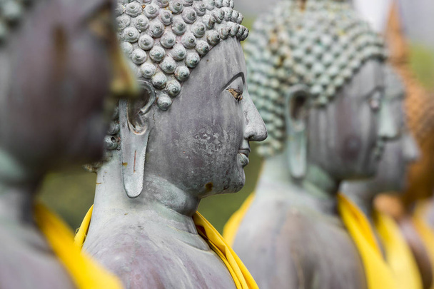Sochy Buddhy v Seema Malaka Temple, Colombo, Srí Lanka - Fotografie, Obrázek