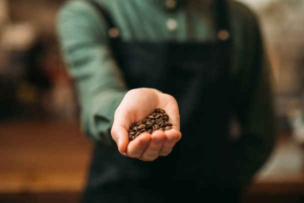 Barista tient des grains de café
 - Photo, image