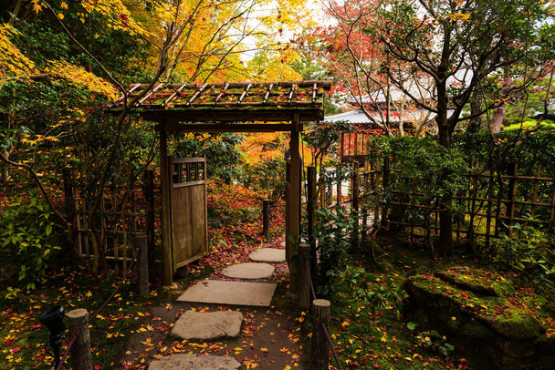 Tenju-egy templom, őszi színek, Kyoto - Fotó, kép