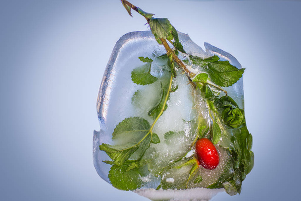 Gooseberries branch frozen in the ice - Photo, Image