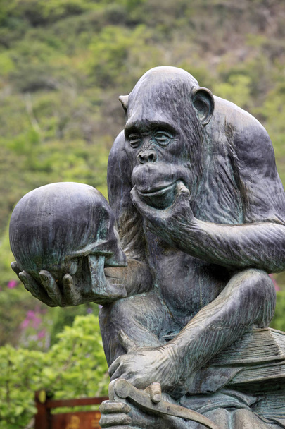 Monkey Island Research Park - Foto, afbeelding