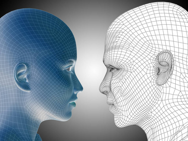human male and female wireframe heads - Фото, изображение