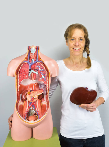 Vrouw met lever op lichaam in de buurt van de romp - Foto, afbeelding