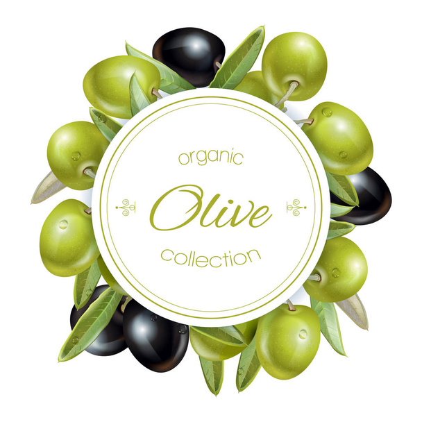 Olive round banner - Vektor, obrázek