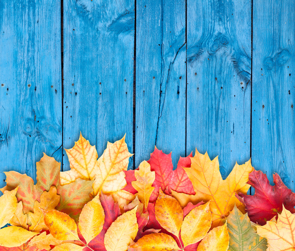 Autumn leaves over wooden background. Copy space. - Photo, Image