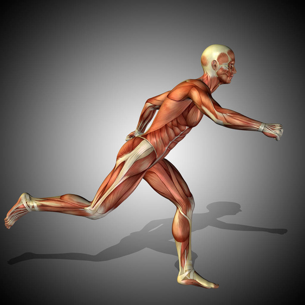 σώμα με μύες ισχυρή ανθρώπου - Φωτογραφία, εικόνα