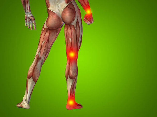 human man anatomy lower body - Photo, Image