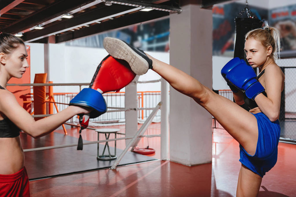 Female boxers working out in a gym - Foto, Imagen