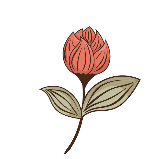 flor decorativa icono aislado
 - Vector, Imagen