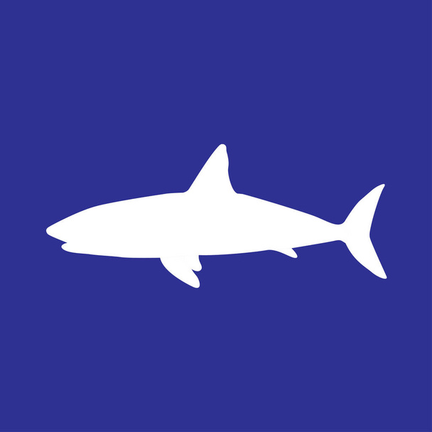 illustrazione icona squalo
 - Vettoriali, immagini