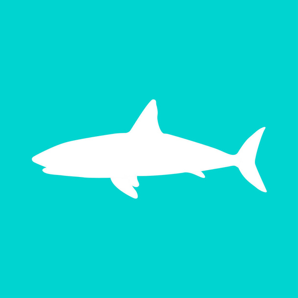 haai pictogram illustratie - Vector, afbeelding