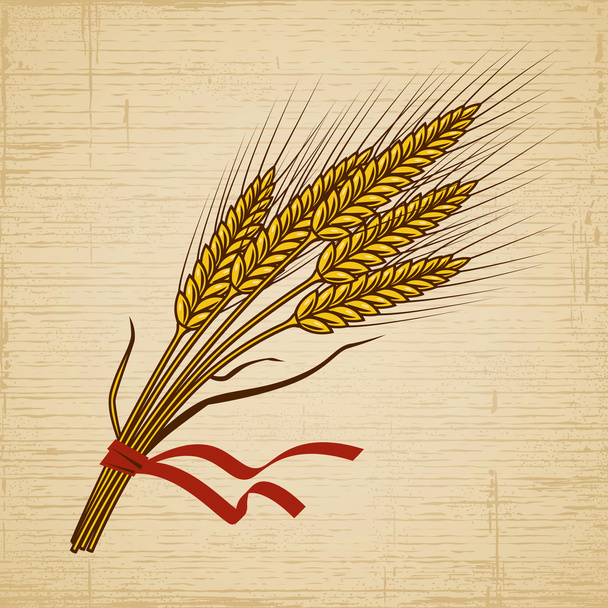 Ретро пшениці
 - Вектор, зображення