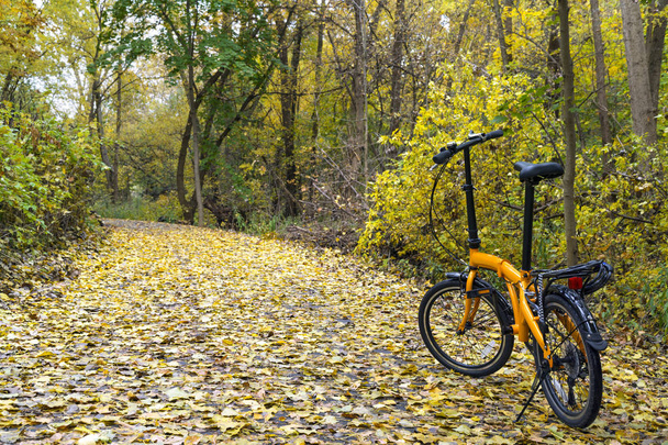 Πορτοκαλί διπλώνει το ποδήλατο στο δάσος - Φωτογραφία, εικόνα