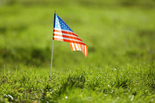 American flag on green grass  - Photo, Image