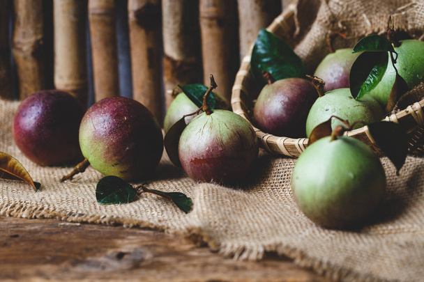 Manzanas maduras púrpuras
 - Foto, imagen